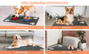 Tapete de alimentação para animais de estimação, absorvente para comida e tigela de água, com suporte de borracha à prova d'água, tapete de água de secagem rápida para cães e gatos